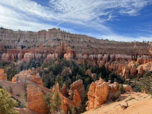 A scenic view of Bryce Canyon, featuring orange rock formations and green pine trees under a blue sky.