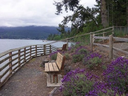 A scenic waterfront view with wooden benches and purple flowers, surrounded by trees and mountains under a cloudy sky.