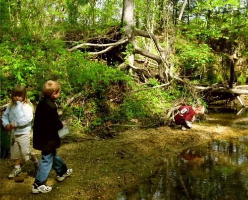 Two children explore a wooded area by a stream, one crouching near the water and the other observing nearby.