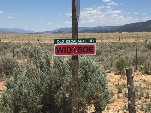 Signpost for Old Escalante Rd with the word "WIDT.SOE" prominently displayed, set against a desert landscape.