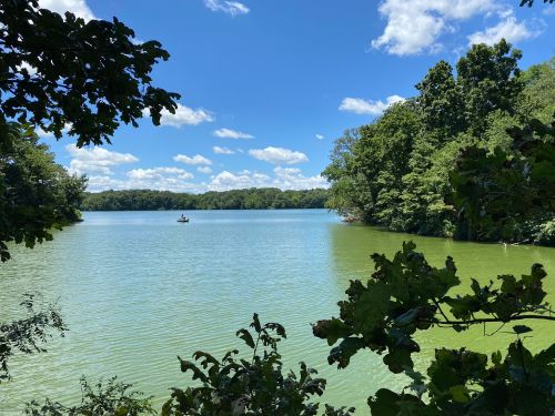 A serene lake surrounded by lush greenery and blue skies, with a small boat in the distance.
