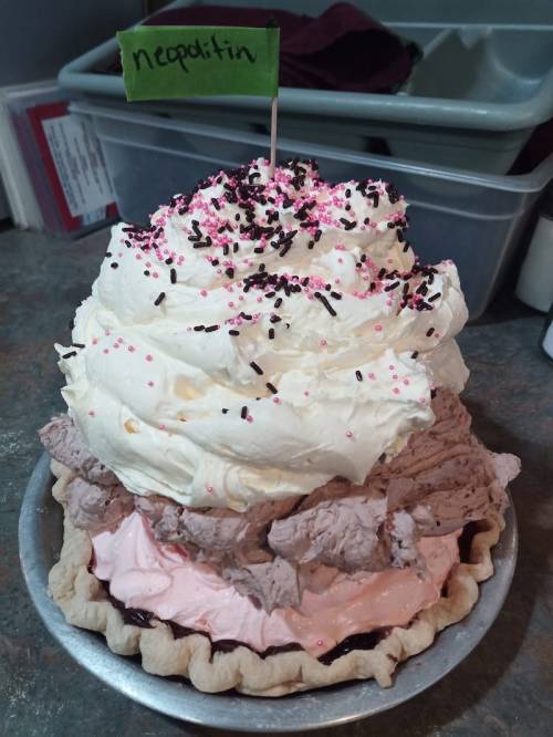 A large ice cream dessert in a pie crust, layered with chocolate and pink ice cream, topped with whipped cream and sprinkles.