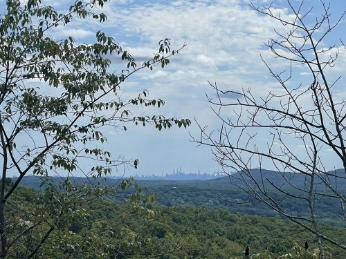 A distant city skyline is visible through trees, set against a backdrop of rolling green hills and a cloudy sky.