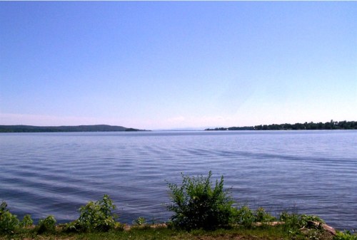 A serene lake view under a clear blue sky, with gentle ripples on the water and greenery along the shore.