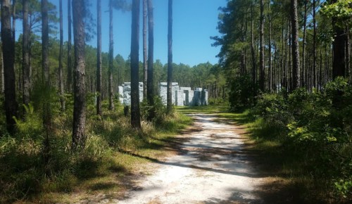 A sandy path through a forest leads to a stone structure resembling Stonehenge, surrounded by tall pine trees.
