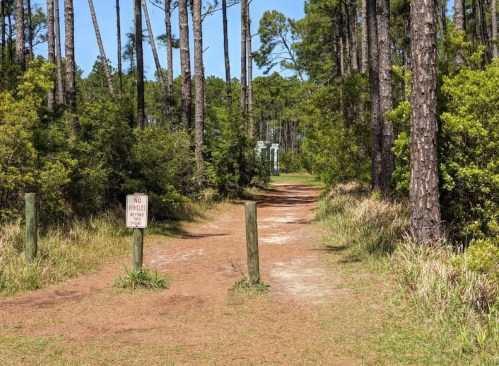 A dirt path through a forest with tall trees, featuring a sign that reads "No vehicles allowed."