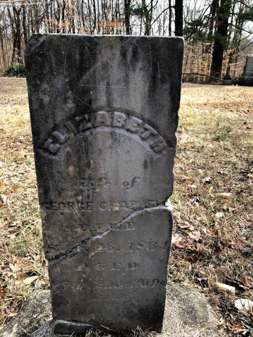 A weathered gravestone for Elizabeth, wife of George Graber, with visible cracks and surrounded by trees.