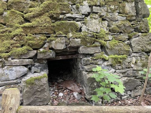 A moss-covered stone wall with a small opening, surrounded by greenery and fallen leaves.