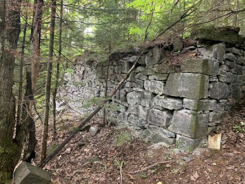 A weathered stone wall partially covered by trees and foliage in a forested area.