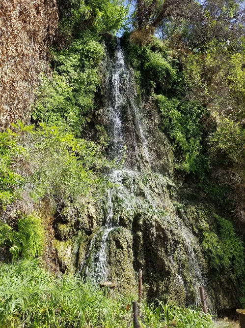 A cascading waterfall flows down a rocky cliff, surrounded by lush green foliage and vibrant plants.