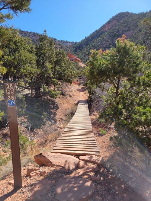 A wooden path leads through a rocky landscape, surrounded by trees and mountains under a clear blue sky.