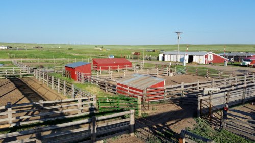 Aerial view of a ranch with red barns, fenced enclosures, and green fields under a clear blue sky.