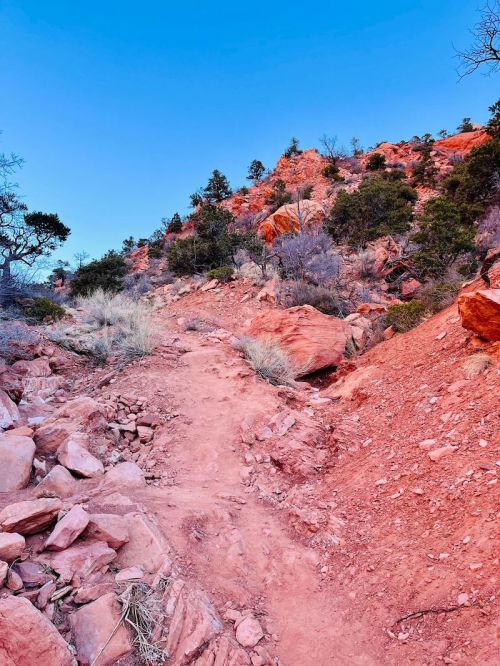 A winding dirt path leads through red rock formations and sparse vegetation under a clear blue sky.