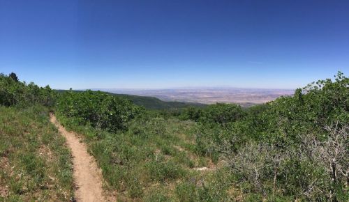 A scenic view of a hiking trail surrounded by greenery, leading to a distant landscape under a clear blue sky.