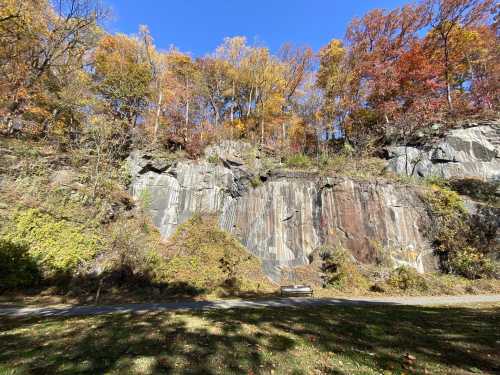 A rocky cliffside adorned with autumn foliage under a clear blue sky, with a bench in the foreground.