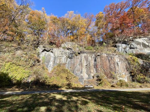 A rocky cliffside adorned with autumn foliage under a clear blue sky, with a bench in the foreground.