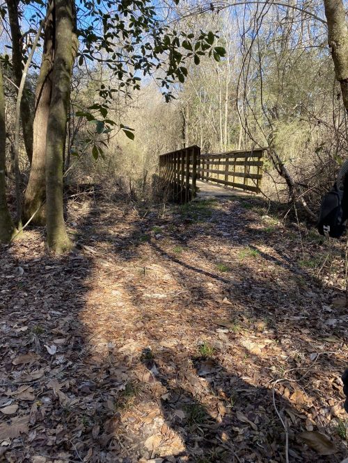 A wooden bridge crosses a path in a wooded area, surrounded by trees and fallen leaves under a clear sky.