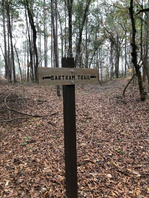 A wooden signpost marking the Bartram Trail, surrounded by trees and fallen leaves in a forested area.