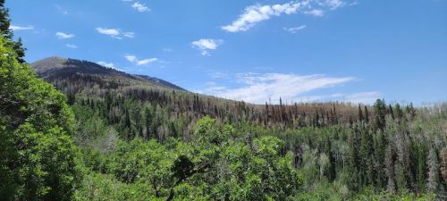 A scenic view of a mountainous landscape with green trees and a blue sky dotted with clouds.