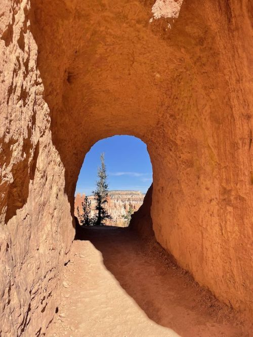 A natural rock arch frames a view of a blue sky and distant trees in a canyon landscape.