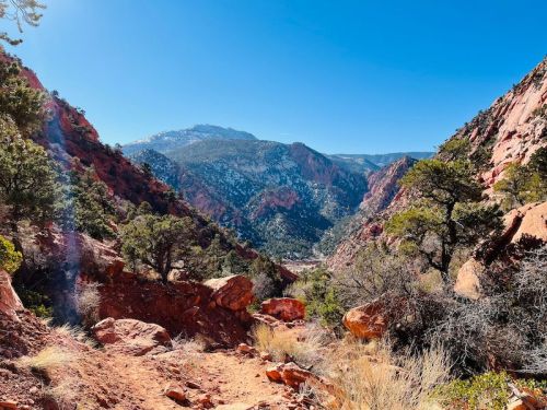 A scenic view of a canyon with rocky terrain, trees, and mountains under a clear blue sky.