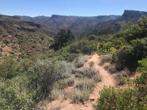 A winding dirt path through lush greenery, leading into a mountainous landscape under a clear blue sky.