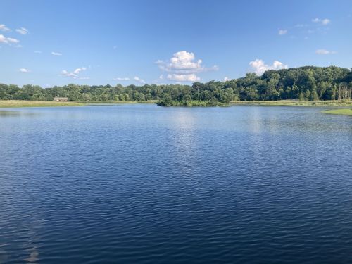 A serene lake surrounded by lush greenery and blue skies with fluffy clouds reflecting on the water's surface.