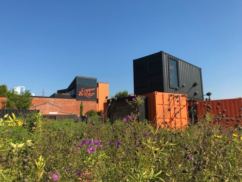 A vibrant field of wildflowers in front of shipping containers and a building with the sign "Copper & Kings" under a clear blue sky.