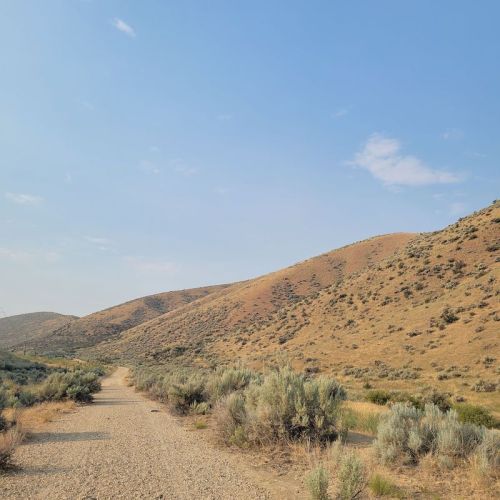 A dirt path winds through a dry, hilly landscape with sparse vegetation under a clear blue sky.