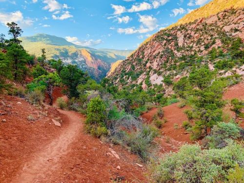 A scenic trail winds through red earth and green trees, surrounded by mountains under a blue sky with fluffy clouds.