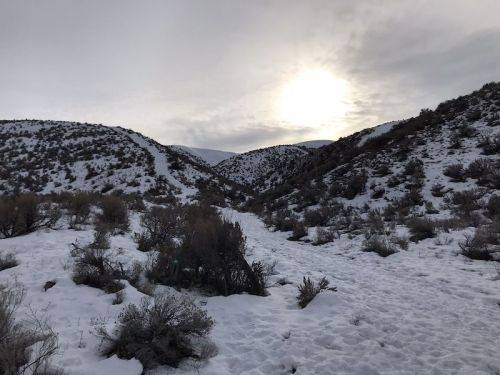 A snowy landscape with rolling hills and sparse vegetation under a cloudy sky, with the sun peeking through.