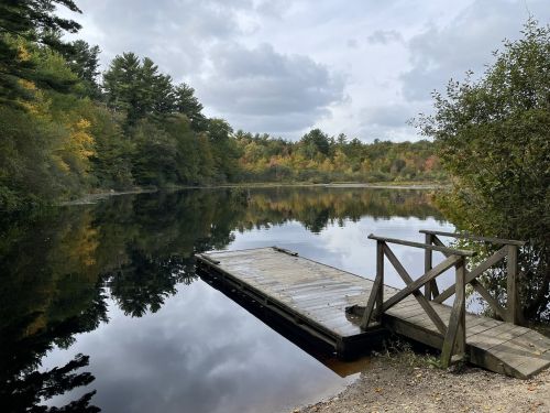 A wooden dock extends into a calm lake, surrounded by trees with autumn foliage under a cloudy sky.