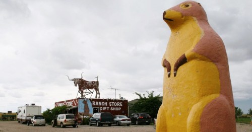 A large, colorful prairie dog statue stands in front of a ranch store in South Dakota, with a cow sculpture on the roof.