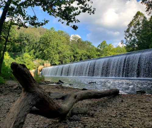 A serene waterfall cascades over a dam, surrounded by lush greenery and a rocky shoreline. A fallen log rests in the foreground.