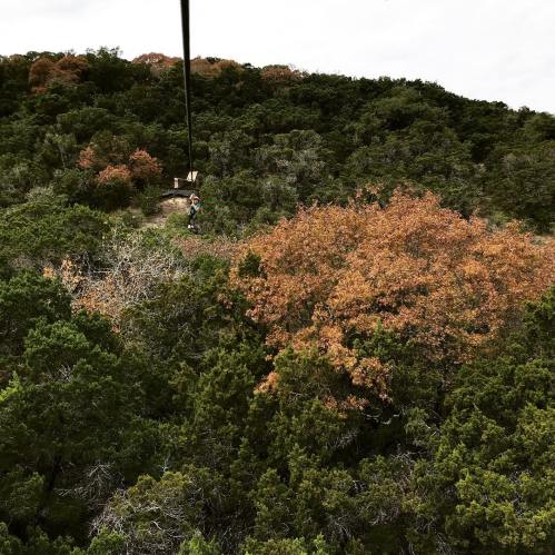 A zip line stretches over a forested area with trees showing autumn colors. A person is seen on the zip line.