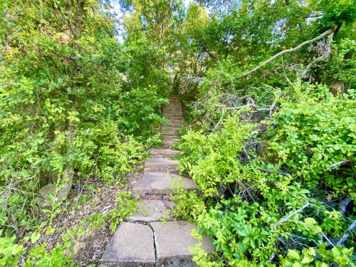 A stone pathway leads through lush greenery and trees, disappearing into a wooded area.