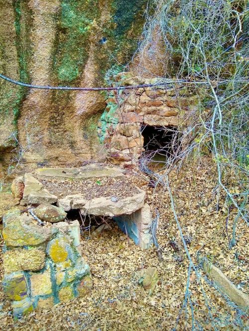 An overgrown stone structure with a dark entrance, surrounded by dry leaves and tangled branches.