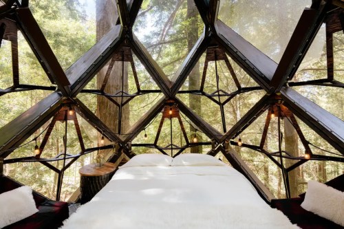 A cozy, modern treehouse interior with a bed, surrounded by large windows showcasing a forest view.