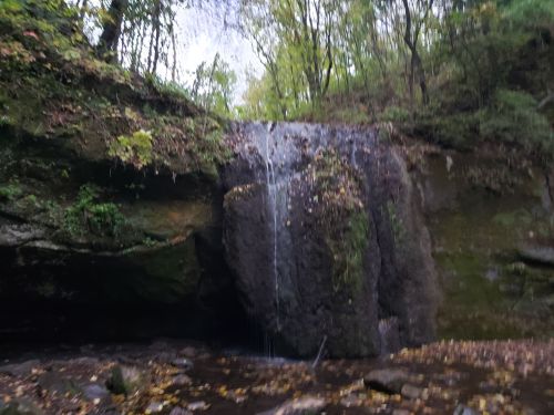 A small waterfall cascades over a rocky ledge, surrounded by lush greenery and fallen leaves.