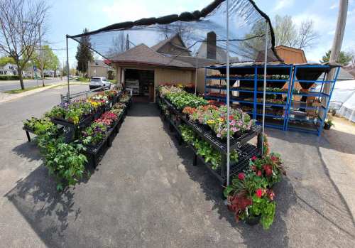 A vibrant garden center with rows of colorful flowers and plants under a canopy, set along a quiet street.