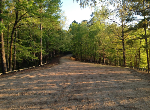 A winding dirt path surrounded by lush green trees on both sides, leading into a serene forest.