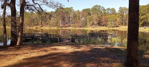 A serene lake view with wooden bridges surrounded by trees and calm water under a clear blue sky.