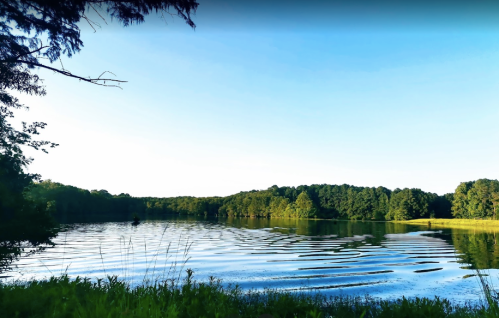 A serene lake surrounded by lush greenery under a clear blue sky, with gentle ripples on the water's surface.