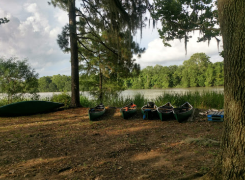 Canoes lined up by a serene lake, surrounded by trees and lush greenery under a partly cloudy sky.
