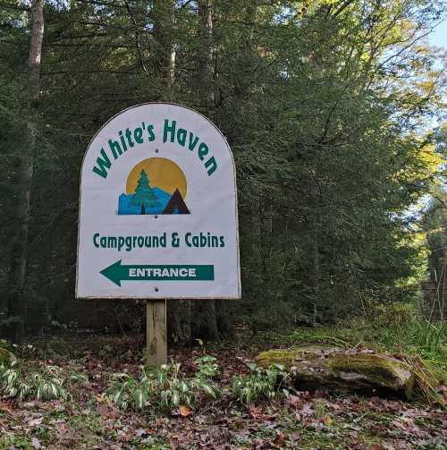 Sign for "White's Haven Campground & Cabins" with an entrance arrow, surrounded by trees and foliage.