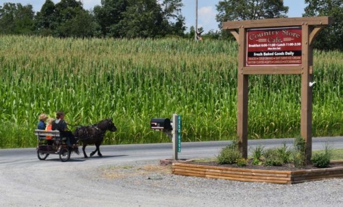 A horse-drawn carriage passes by a sign for a country store, with cornfields in the background.