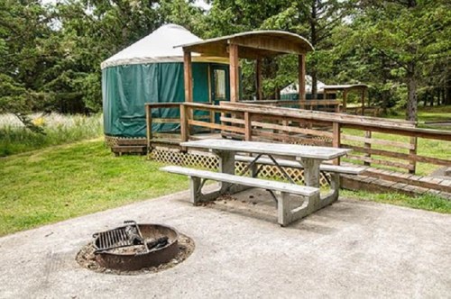 A picnic table and fire pit in front of a green yurt surrounded by trees and grass.