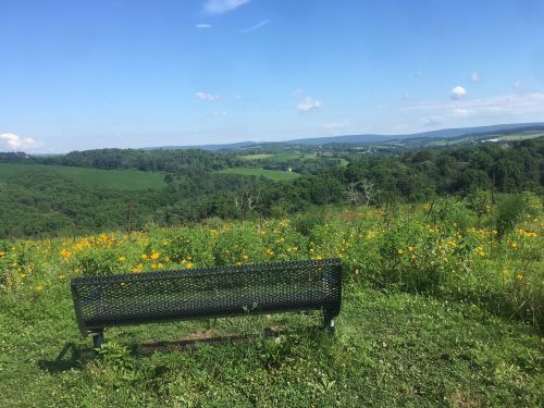 A green bench overlooks a scenic landscape of rolling hills and wildflowers under a clear blue sky.