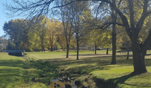 A serene park scene with trees, a grassy area, and a small stream under a clear blue sky.