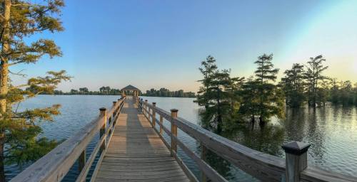 A wooden dock extends over calm water, surrounded by trees under a clear blue sky.